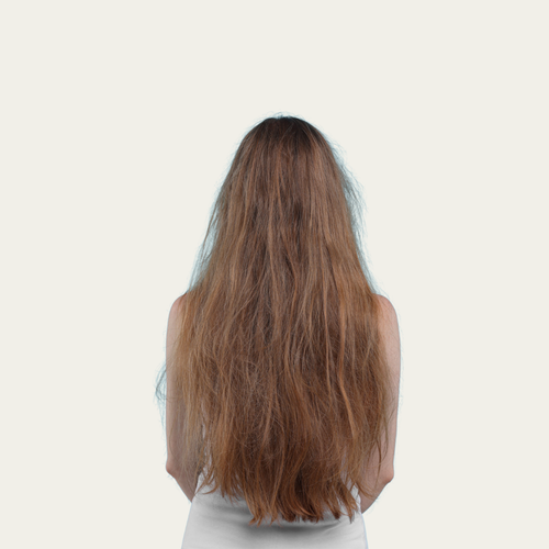 Damaged Hair